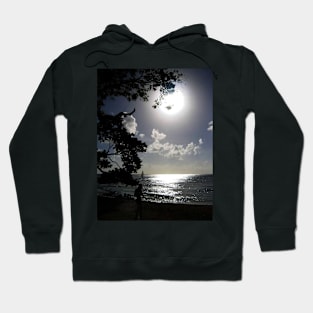 Moonlight Hoodie